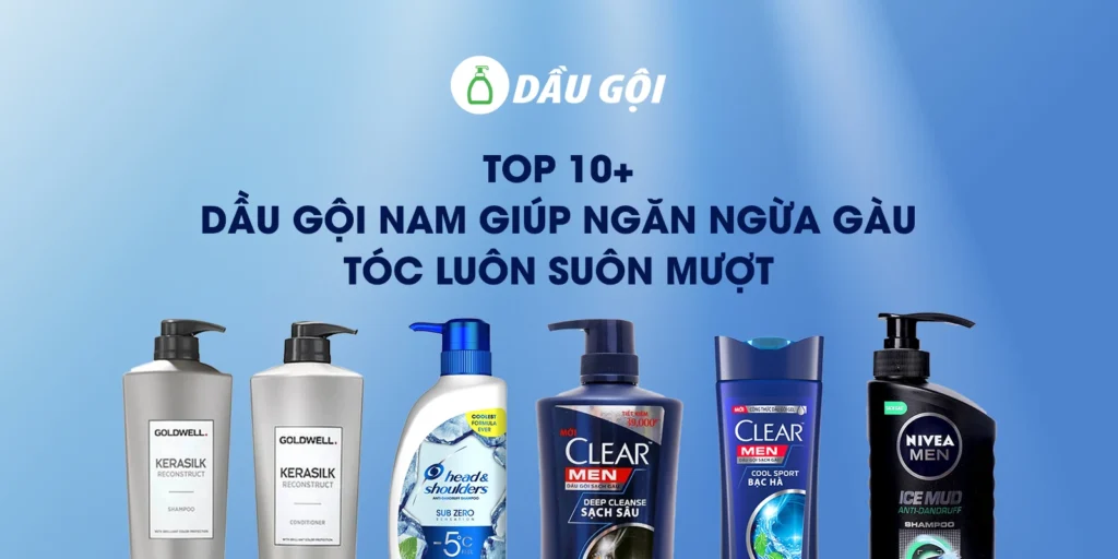 Top 10+ Dầu Gội Nam Giúp Ngăn Ngừa Gàu Tóc Luôn Suôn Mượt